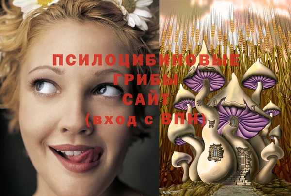 тгк Магас