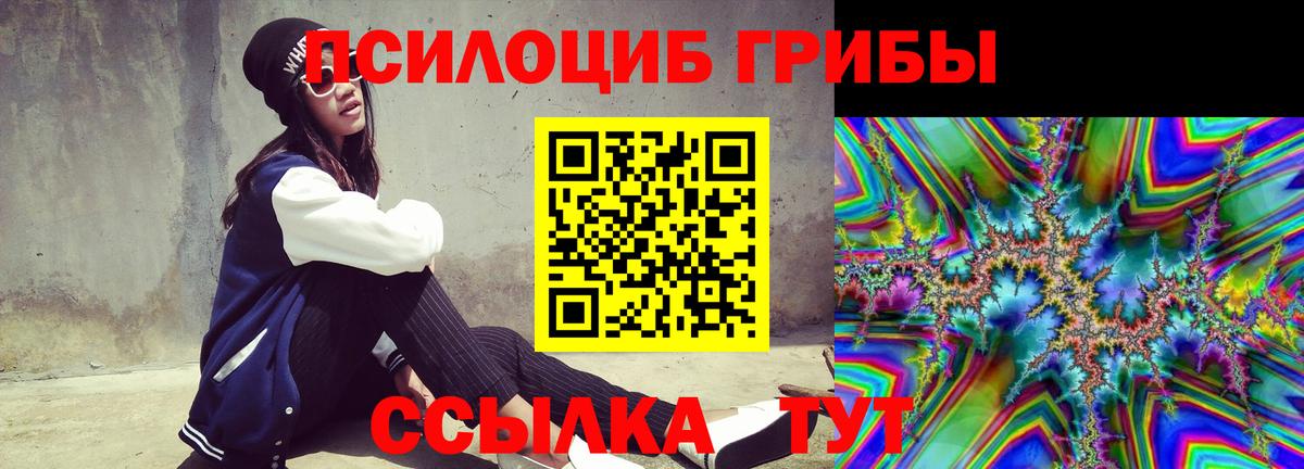 наркошоп  Ставрополь  Галлюциногенные грибы Magic Shrooms  Псилоцибиновые грибы Psilocybe 