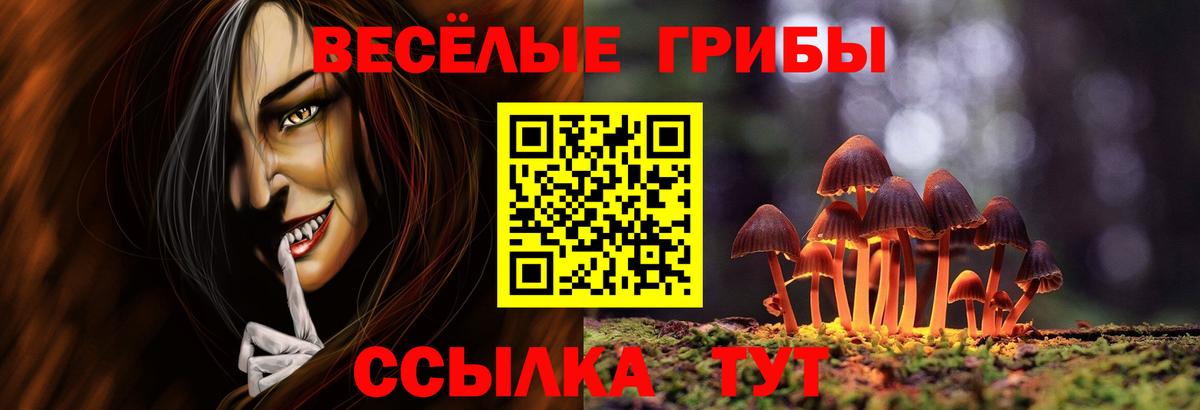 Псилоцибиновые грибы Psilocybe  Псилоцибиновые грибы прущие грибы  Вход с VPN  Ставрополь 