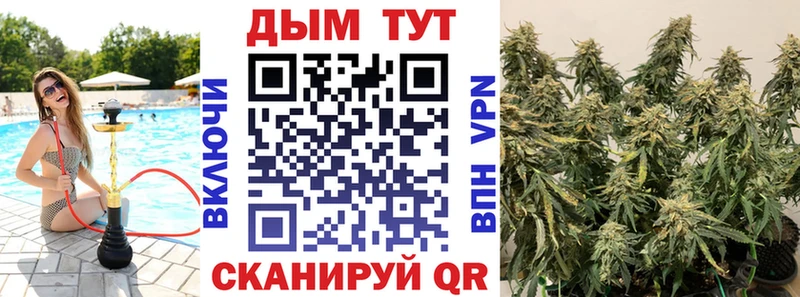 Канабис сатива  Ставрополь 